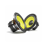 Car Audio Speaker